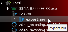 Exporting Recorded Region from Single Camera - 4